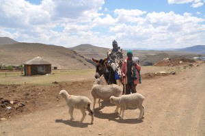Lesotho road